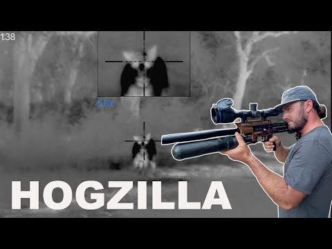 The Hunt For HOGZILLA With An AIRGUN