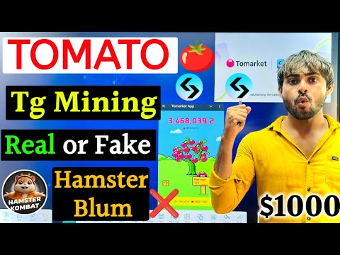 Tomato Bitget Mining App Real or Fake || Tomarket Mining Kaise Kare || Tomarket Telegram Mining App