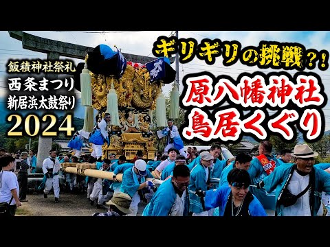 各太鼓台ギリギリの挑戦?!飯積神社祭礼 原八幡神社 鳥居くぐり2024西条まつり・新居浜太鼓祭り大生院地区・西条祭り