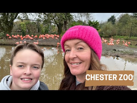 CHESTER ZOO!