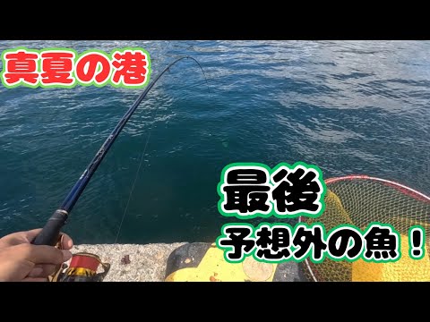 【遠矢ウキでフカセ釣り】メジナ狙いでのんびり小物と遊んでいたら、突然竿をブチ曲げたやつ‼️