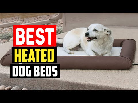 ✅Top 5 Best Heated Dog Beds in 2023