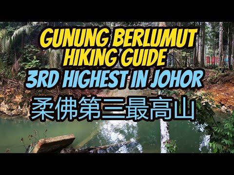 Gunung Berlumut Kluang Johor hiking guide (3rd highest in Johor) 柔佛第三最高山居銮布鲁木山爬山指南