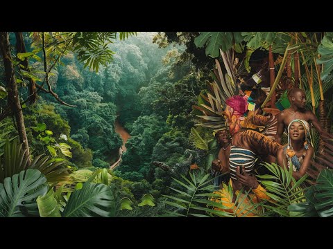 Into the Unknown: Exploring the Congo Rainforest