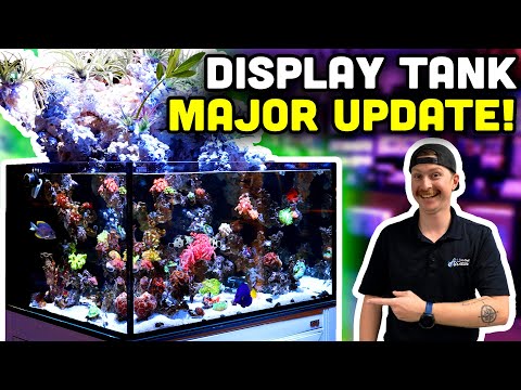 Waterfall Reef Tank Update! Mangroves, New Corals, and MORE!