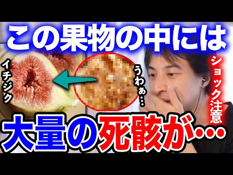 【ひろゆき】※閲覧注意※イチジクの中には100%●の死骸が入っています…美容に良い果物・無花果の衝撃的な事実を暴露するひろゆき【ひろゆき切り抜き/論破/イチジク/無花果/ハチ/蜂/虫/ハエ】