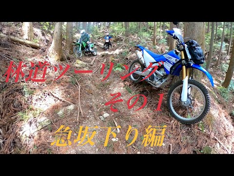 【林道ツーリング】その１　急坂下り編　　#WR250R #アフリカツイン #KLX #林道