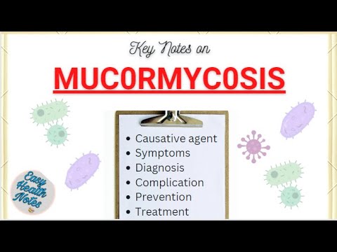 Mucormycosis (Black Fungus)-types, Symptoms, Diagnosis, Prevention, Treatment & Control