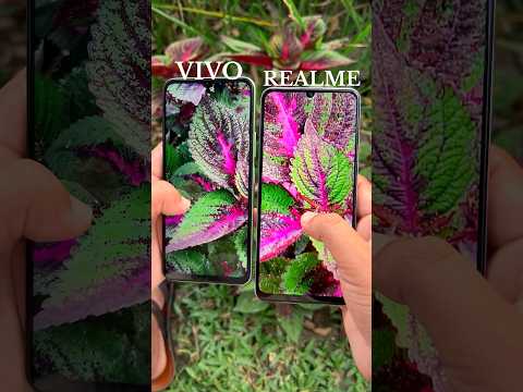 VIVO T3 LITE VS REALME NARZO N63 CAMERA COMPARISON 📷