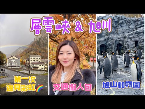 【北海道旭川&層雲峽 2023】交通懶人包🚝🚌 車費有幾貴？ 旭山動物園點評📝 層雲峽荒蕪程度？ 住宿建議？🌈🚡