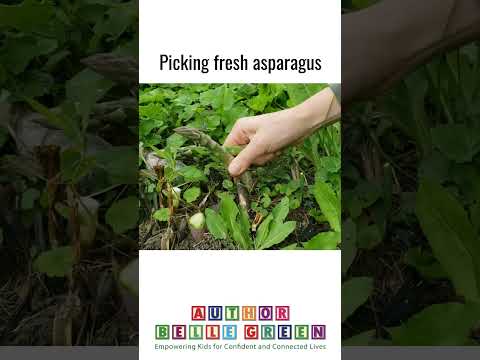 *SNAP!* Picking fresh asparagus!