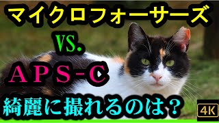 マイクロフォーサーズ vs. APS-C どちらが綺麗に撮れる？