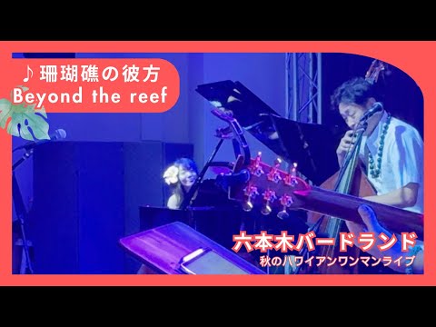 【Beyond the reef ビヨンドザリーフ 珊瑚礁の彼方】ピアノバージョン 六本木バードランド ハワイアンライブ