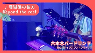 【Beyond the reef ビヨンドザリーフ 珊瑚礁の彼方】ピアノバージョン 六本木バードランド ハワイアンライブ