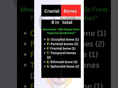 Skull Bones - Cranial Bones Mnemonics #skullbones #skull