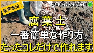 【腐葉土】穴なし枠なし袋なし！基礎～実際の作り方まで徹底解説【有機農家直伝！無農薬で育てる家庭菜園】　24/11/28