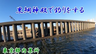 [ヘチ釣り]　東京湾奥黒鯛ボートで黒鯛を連発！　#黒鯛