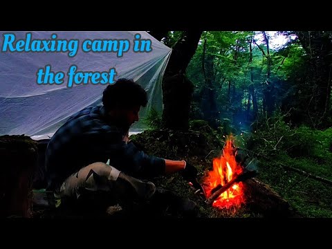 Relaxing camp in the forest.🔥#camp #overnight #adventure #bushcraft #jungle #outdoor #green #camping