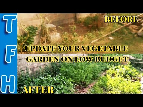 RENOVATING GARDENING AREA, PLANTING WINTER VEGETABLES, PREPARING GARDENING SOIL ON LOW BUDGET.