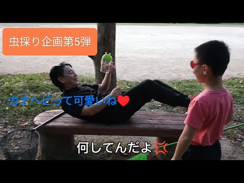 【カナヘビ捕まえに行くぞ!!part5】カナヘビってよく見ると可愛いよね♥