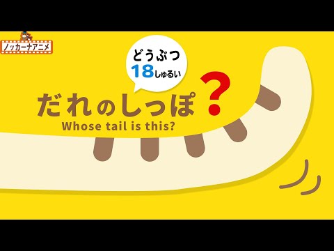 【動物18種類】だれのしっぽ？知育アニメ【赤ちゃん・子供向け動画】Whose tail is this? / Animal