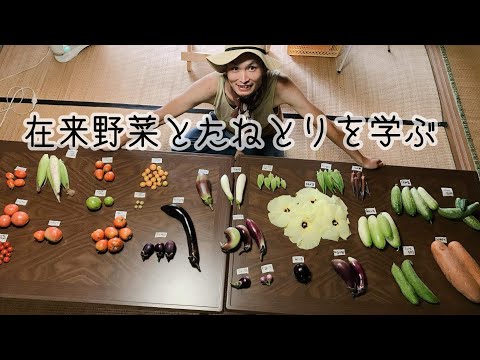 【タネの学校】夏の在来野菜が勢揃い/味わいながら種取りを学ぼう