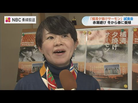 赤潮被害を乗り越え誕生　長崎・雲仙の『橘湾夕焼けサーモン』試食会で絶賛の声