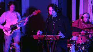 Pavo Pavo live at Daytrotter Studios