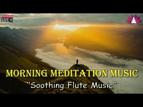 Relaxing Flute Music (बाँसुरी): Himalayan Flute Music, Morning Meditation Music, Soothing Calm Music