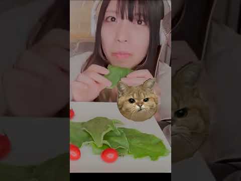 【TikTokでバズった】ASMR 咀嚼音アイスプラント食べてみた。#shorts