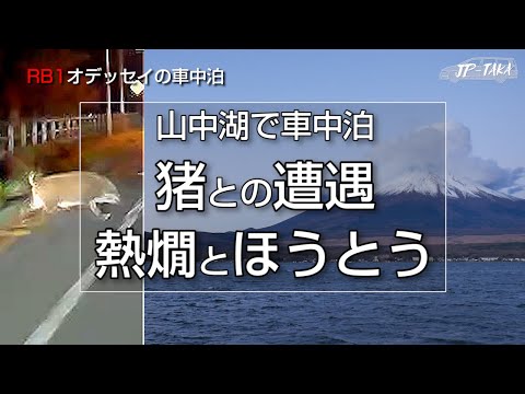 晩秋の山中湖車中泊 猪との遭遇そして熱燗とほうとう RB1オデッセイの車中泊