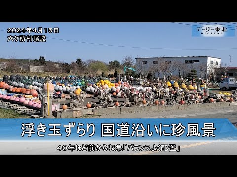 浮き玉ずらり、国道沿いに珍風景／六ケ所（2024/04/16）