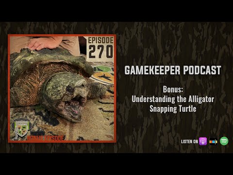 EP:270 | Bonus: Understanding the Alligator Snapping Turtle