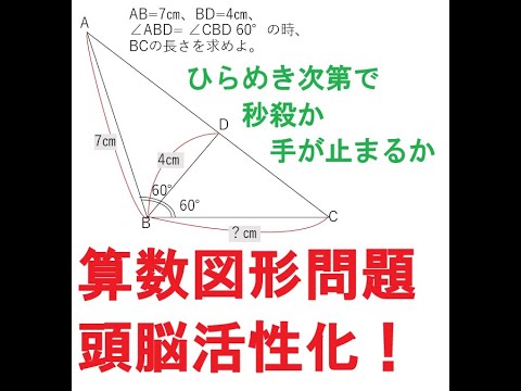 算数図形問題で頭の体操！カオスな株式市場が続く今は、小学生でも解答可能な算数の問題で柔軟な思考力を身に着けよう！