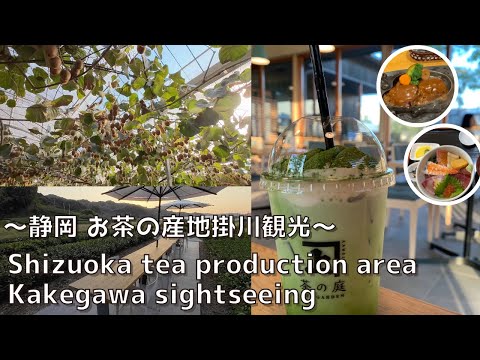 [Shizuoka] All you can eat kiwi! ︎Kakegawa sightseeing, famous for tea production