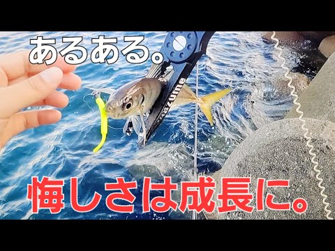 アジングこのタイミングでその良型が！状況激変アジの反応がなさすぎたのである事をしてみると。