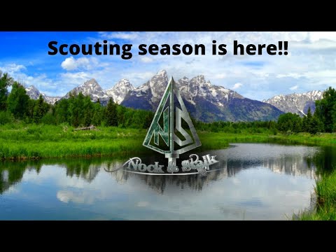 2019 Scouting season