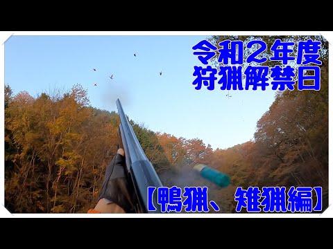 令和2年度 狩猟解禁日【鴨猟、雉猟編】Duck hunting & Pheasant hunting