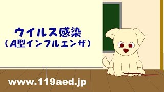 [3]ウイルス感染(A型インフルエンザ)