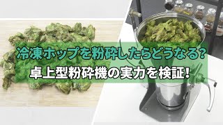 冷凍ホップを粉砕したらどうなる？卓上型粉砕機の実力を検証！