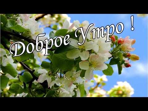 С ДОБРЫМ УТРОМ !🌼Желаю Самого Доброго Солнечного Утра!🌼  Шикарная Музыкальная открытка 🌼