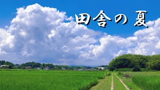 【田舎の夏】夏の始まりを感じる懐かしく美しい風景