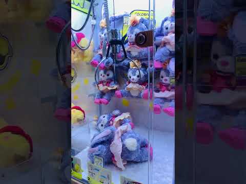 Challenge Day 19 : Catch a doll 1 time/day  #shorts #subscribe #share #viral #thailand #bear #teddy