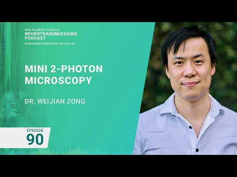 Podcast Episode 90 - Mini 2-Photon Microscopy | Weijian Zong