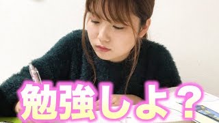 【作業用】一緒に勉強しよう！【勉強耐久】