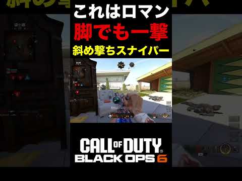 【COD:BO6】これはロマン‼︎CHFバレルにタクティカルレーザースナイパーが最高ww【カスタム紹介】