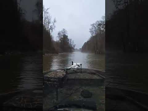 Packs Landing Santee Cooper #fishing #outdoors #explore