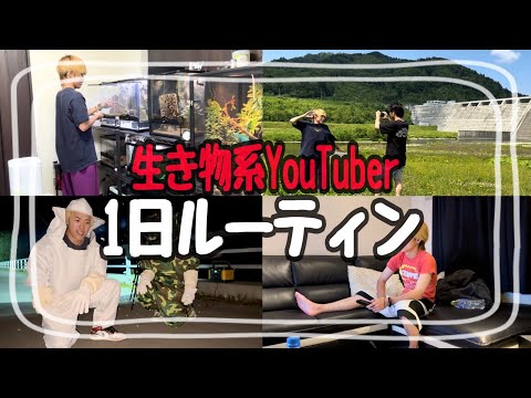 【1日ルーティン】登録者14万人"生き物系YouTuber"のリアルな1日をお見せします