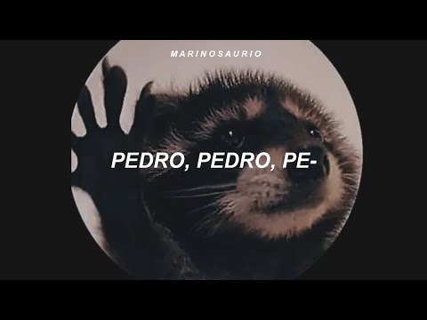 la canción de pedro || PEDRO - Raffaella Carrà, Jaxomy, Agatino Romero (Remix) [sub. español]