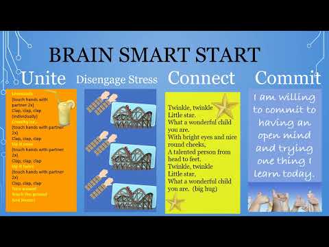 16. Survival State Strategy: Brain Smart Start (Red Brain)